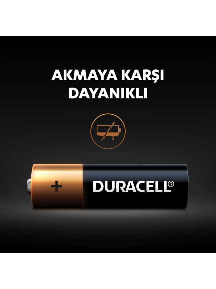 Alkalin AA Kalem Pil, 1,5 V LR6/MN1500, 6'lı paket